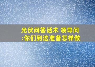 光伏问答话术 领导问:你们到这准备怎样做